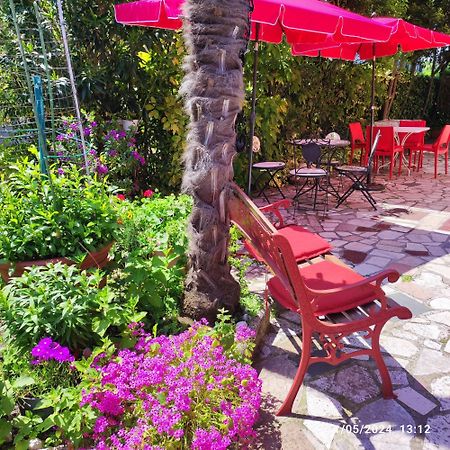 Casapatrizia B&B Сірміоне Екстер'єр фото